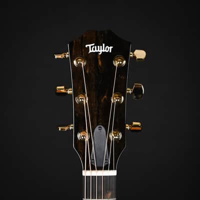 Taylor 217e Plus Special Edition Honeyburst w/ Torrefied Spruce Top & Big Leaf Maple Back and Sides Acoustic/ Electric- Honey Sunburst 2026 (2202066281) image 6