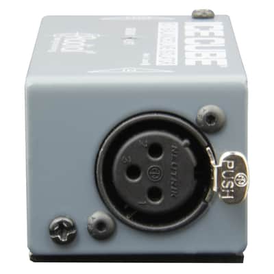 Radial IC-1 IceCube - Isolator image 3