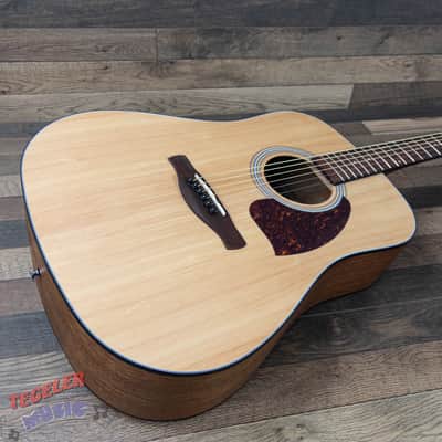 Ibanez PF50-OPN Dreadnought Acoustic Guitar, Open Pore Natural Finish image 13