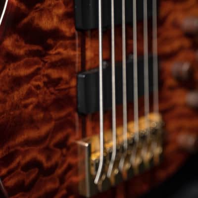 Peavey Cirrus Custom Shop 6 String bass - The "Poor Man’s Ken Smith" of Ghospel image 7