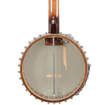 Gold Tone BB-400+ 4-String Banjo Bass w/ Pickup & Case 14" Head 32" Scale w/case image 2
