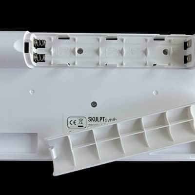2021 Modal Electronics Skulpt Synth SE SKULPTsynth SE image 3