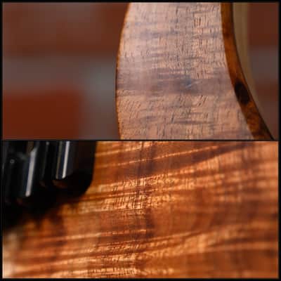 Carillion Guitars Polaris 7-String Tasmanian Blackwood Top Danish Oil 2023 w/OHSC image 19