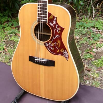 1974 Terada made Morris W25 Humming Bird Style image 3