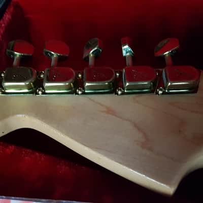 Fender Gold/Gold Stratocaster 1981 - 1983 image 13