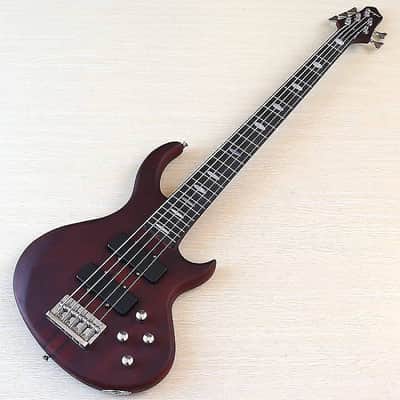 Custom 5 String Electric Bass, Sapele Wood Body, 24 Frets Fingerboard Maple Neck image 2