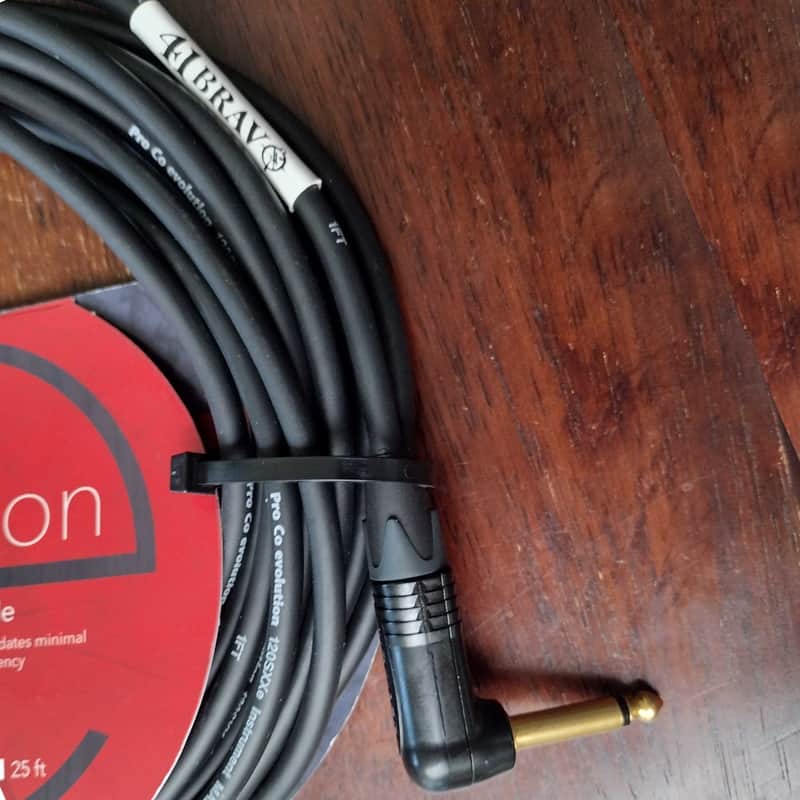 Instrument Cable 25-foot ProCo EVLGCLN-25 ANG-STR image 1