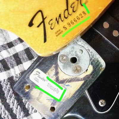 Fender Stratocaster Made in USA 1979 Valerio Zelli (O.R.O.) VIVO PER LEI image 21