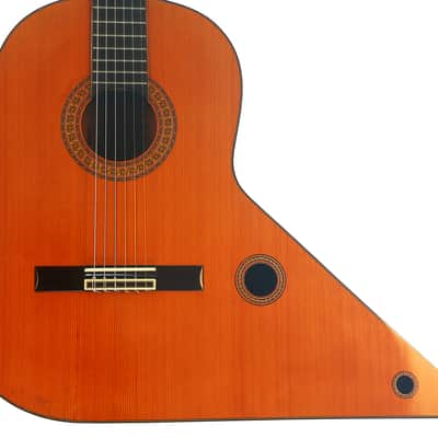 The Biggest Classical Guitar We've Ever Seen | Corujo's Gran Guitar by Raimundo & Aparicio - Check Video! image 2