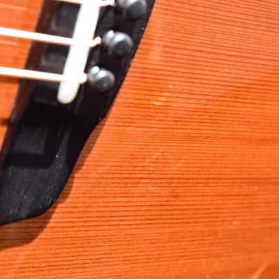 Goodall Jumbo Redwood & Indian Rosewood image 21
