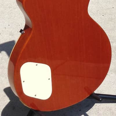 Dillion Dl 650 Les Paul image 1