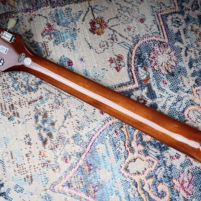 Epiphone Alex Lifeson Les Paul Standard Access Viceroy Brown image 4