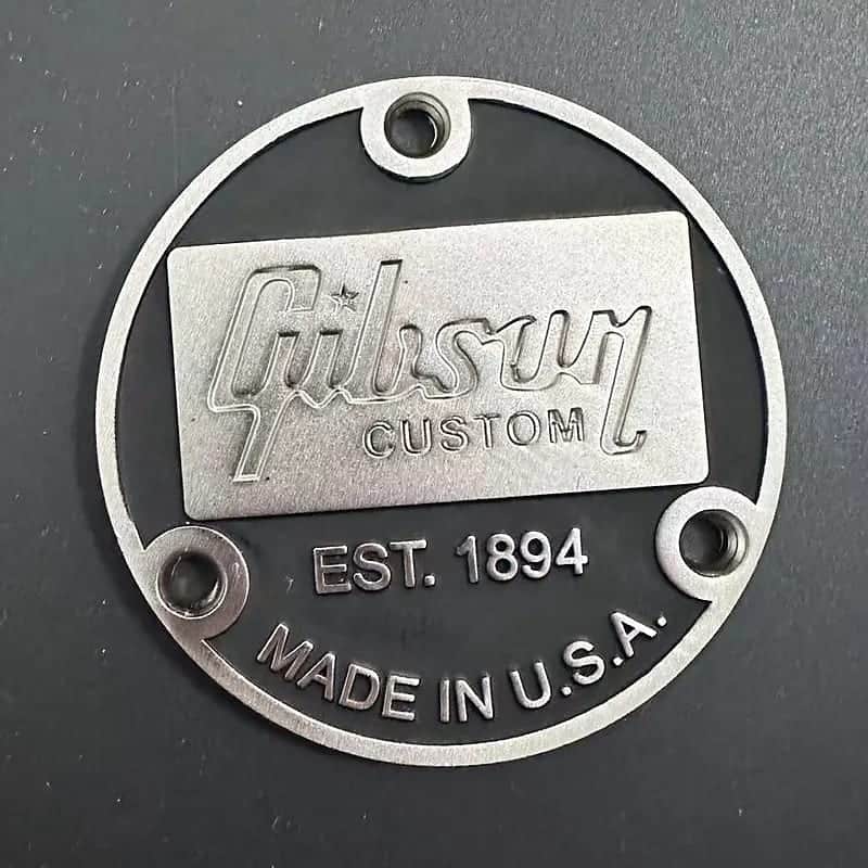 Guitar Toggle Switch Back Cover image 1