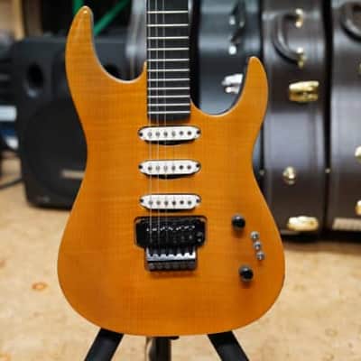 B.C. Rich  Assassin SSS Floyd Rose gebraucht natur image 3