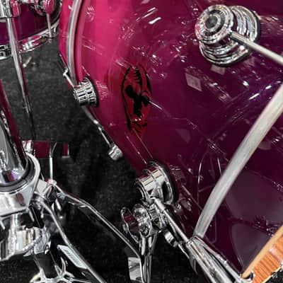 ~WOW!~ DW Collector's Mike Cosgrove of Alien Ant Farm's 8-Piece Custom Drum Kit Set image 9