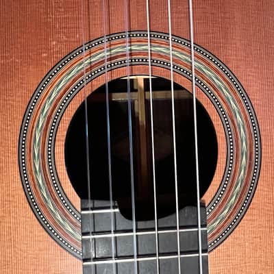 Classical Guitar - Pro Concert Model C600 image 2