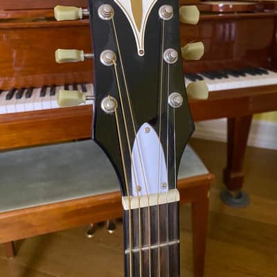 Epiphone PRO-1 image 3