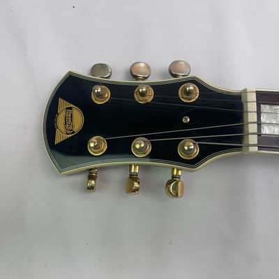 Pignose PGG-259-BK Basswood Body Bolt-On Maple Neck Mini/Travel Built-In Amp 6-String Electric Guitar w/Gig Bag image 3
