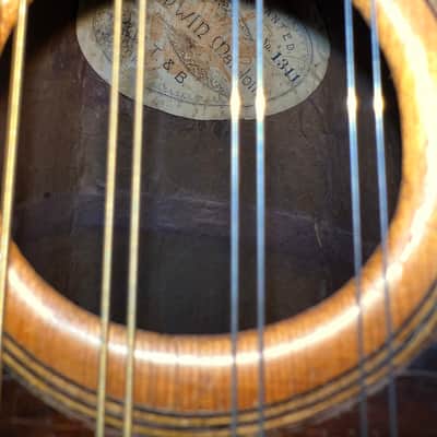 Antique William Tonk & Bros Bowl Back Mandolin “The Edwin”~Early 1900’s, Restored~New Price Drop! image 8