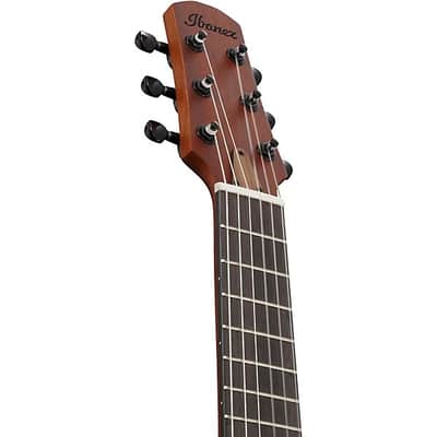 Ibanez AUP10N Nylon 6-String Piccolo Acoustic Guitar - Light Brown Sunburst image 4