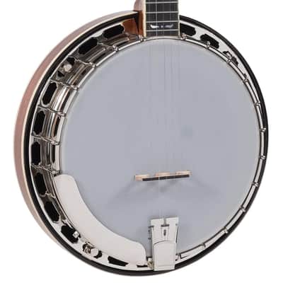 Recording King RK-R36-BR Madison Tone Ring Banjo, Mahogany Resonator image 2