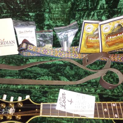 The Loar LM-700-VS 2024 - Gloss image 14