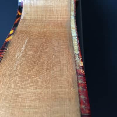 Soli / Hanika Record archtop guitar 50s - German vintage image 13