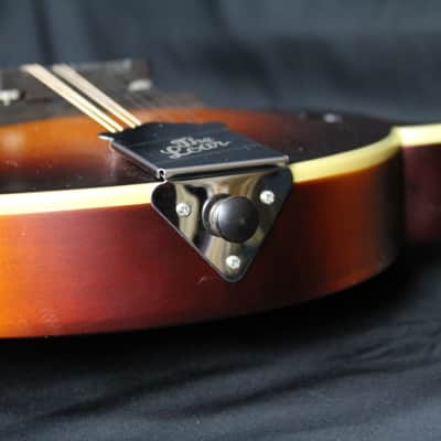 The Loar LM-590-MS  All Solid F-Style Mandolin NEW! FREE SHIPPING! w/ Gigbag image 6
