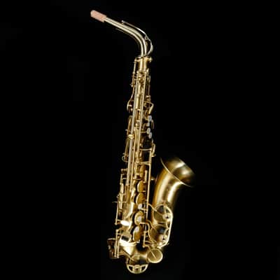 Selmer AS42M Professional Eb Alto Saxophone, Matte Finish image 5
