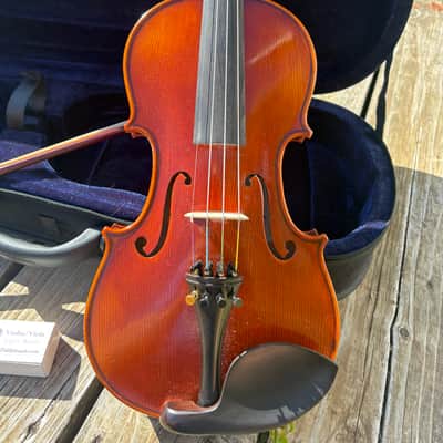 Fiddleheads violins VN100L 2022 - Gloss image 2
