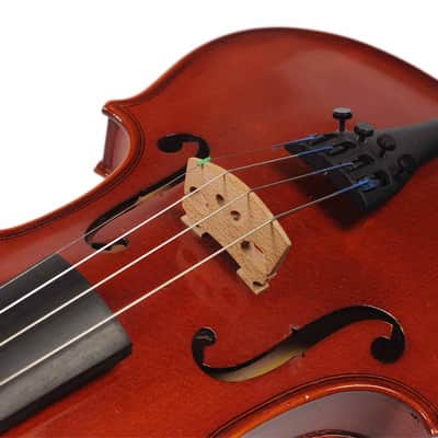 Eastman VL80 3/4 Violin Outfit Serial#15901495 image 8