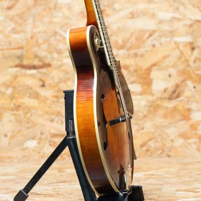 Iwashita Mandolins&Guitars F 5 2024 image 4