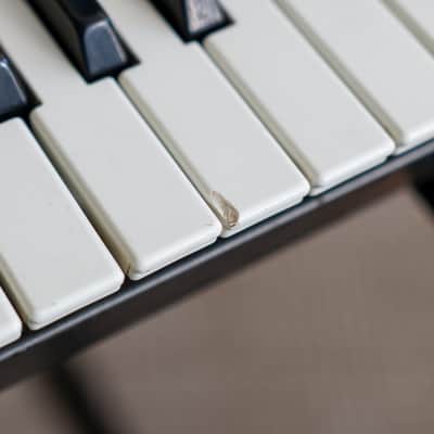Roland JX-8P 61-Key Polyphonic Synthesizer 1984 image 6