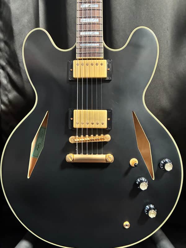 Epiphone Emily Wolfe Signature Sheraton 2021 - 2023 - Stealth Black image 1