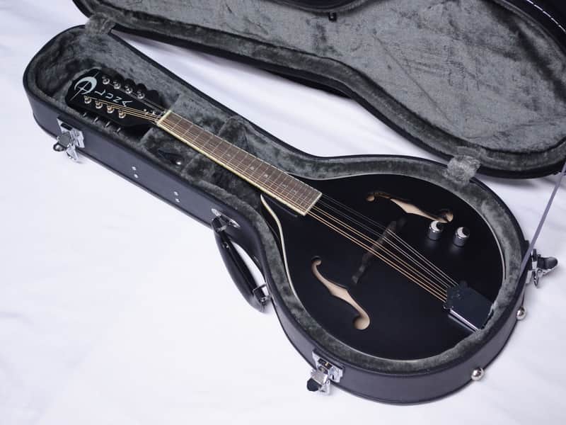 LUNA Moonbird A-style Mandolin NEW acoustic/electric Black Satin w/ Case image 1