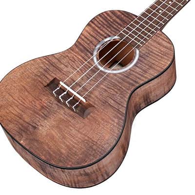 Cordoba 15CFM Concert Ukulele Granite Gray image 1