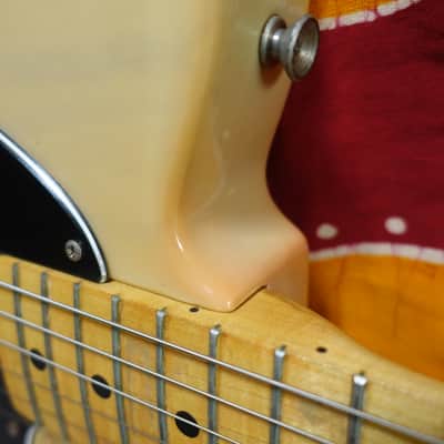 1981 Fender Telecaster with Maple Fretboard Blonde Yamano image 7