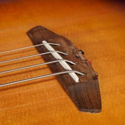 2021 Breedlove Discovery S Concert ED Acoustic/Electric Bass Guitar (VIDEO! Fresh Work, Ready) image 8