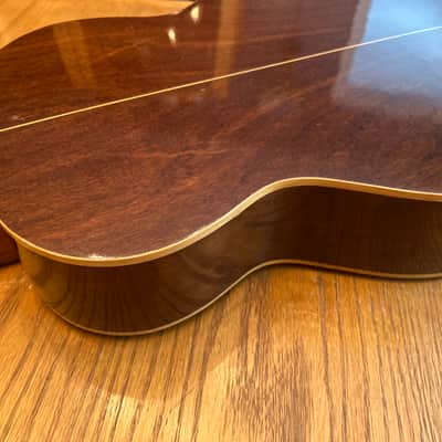 1978 Giannini AWN-21 - Natural Brazilian Rosewood/Jacaranda image 8