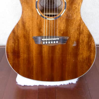 Washburn WL012SE-0 Acoustic/Electric #CC201113216 w/HSC USED image 3