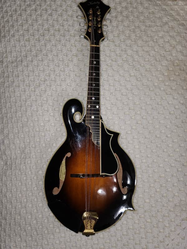 Kentucky KM   DAWG Mandolin ( Very Rare / Hard To Find.)  Sunburst image 1