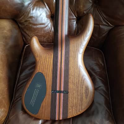 Used One Owner Mayones 2022 Regius 7 26.5" Camphor Burl top, No Binding, Exotic I neck, TEW body, Bare Knuckle Pickups Unity image 5