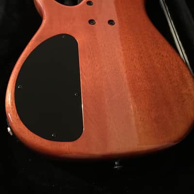 Modulus Quantum 6 Semi-Hollow 2003 Mahogany with Spruce top image 4