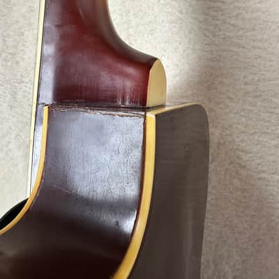 Silvetone 1425 50s/60s - Sunburst image 10