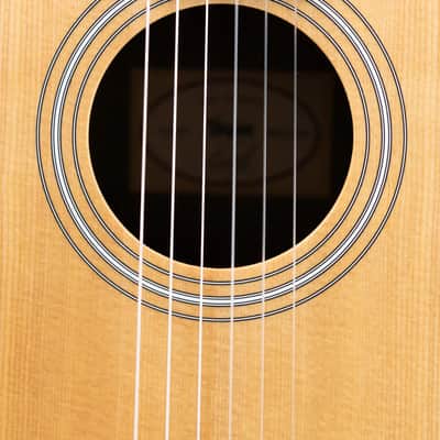 Taylor 214ce-N Nylon Grand Auditorium Acoustic/Electric Guitar with Gig Bag image 12