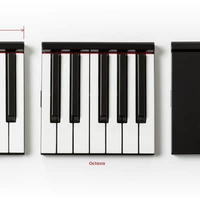 Pocket Piano Portable MIDI Full Size Keyboard w/Travel Case, Pedals & Bluetooth. Free USA Shipping image 3
