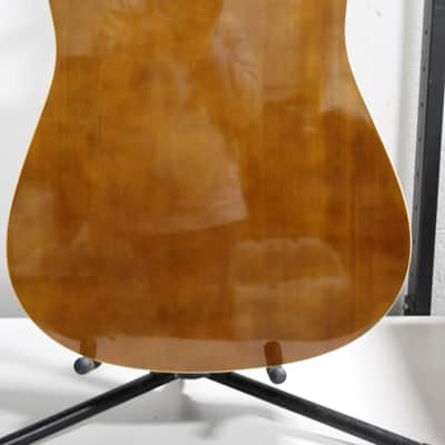 Zager Easy Play ZAD01PK N Acoustic Guitar image 6