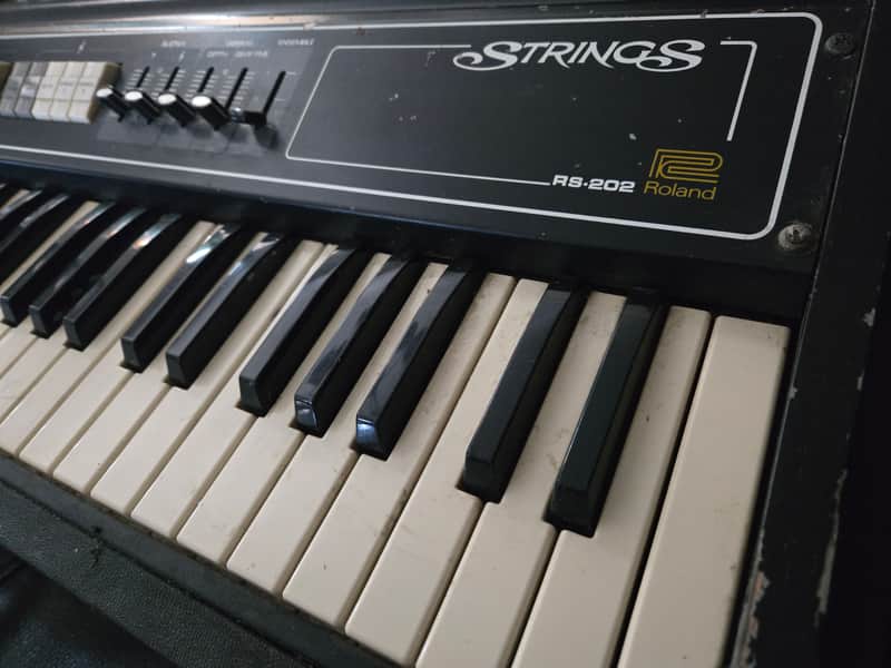Roland RS-202 61-Key String Synthesizer 1976 - 1979 - Black image 1