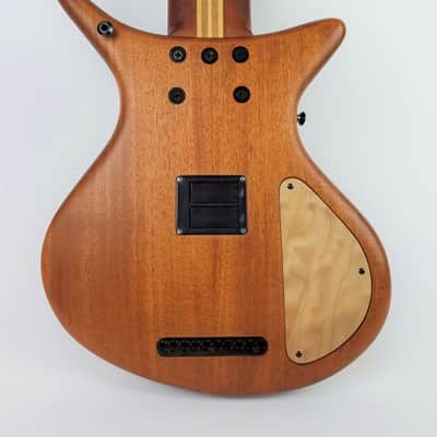 Warr Artist Series Touch Guitar image 3