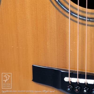 KAMEOKA GUITAR KMD Cutaway image 12
